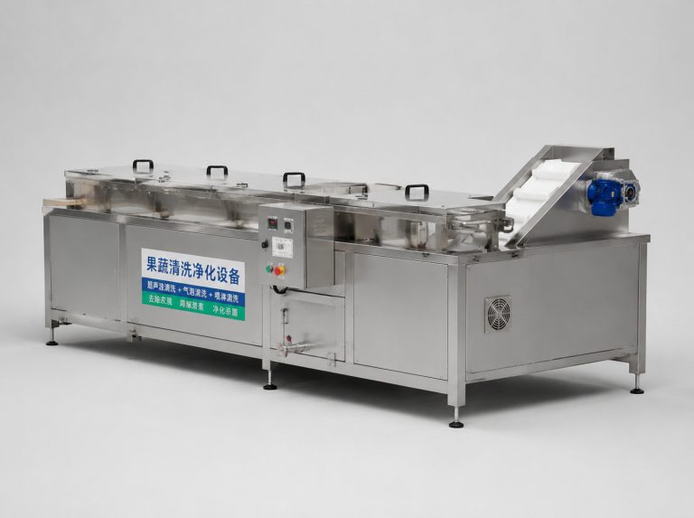 宣城长虹cgs10y2果蔬净化清洗机